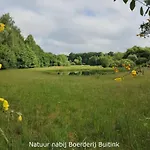 Boerderij Buitink * Kotten