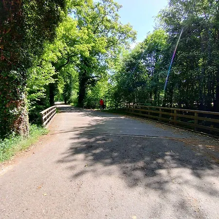 Boerderij Buitink Kotten