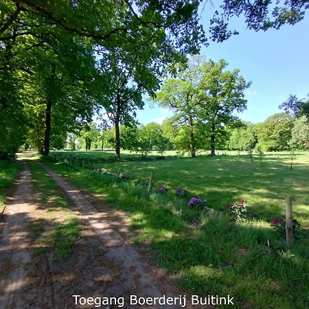 Boerderij Buitink *