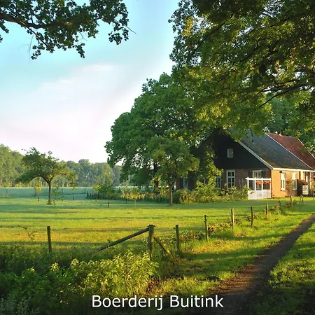 Boerderij Buitink * Kotten