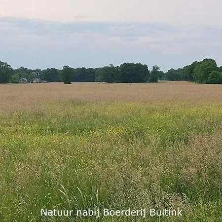 Lägenhet Boerderij Buitink Kotten