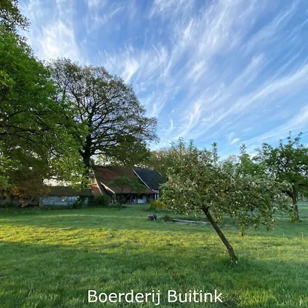 Boerderij Buitink Kotten