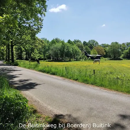 Boerderij Buitink * Kotten