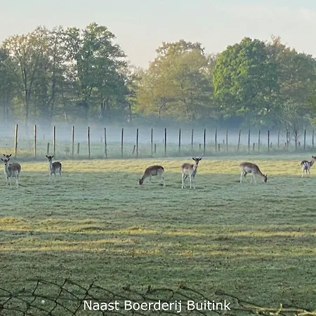 Lägenhet Boerderij Buitink Kotten