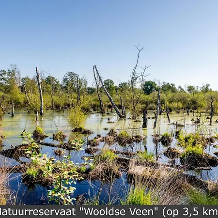 Boerderij Buitink * Kotten