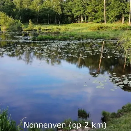 Boerderij Buitink * Kotten