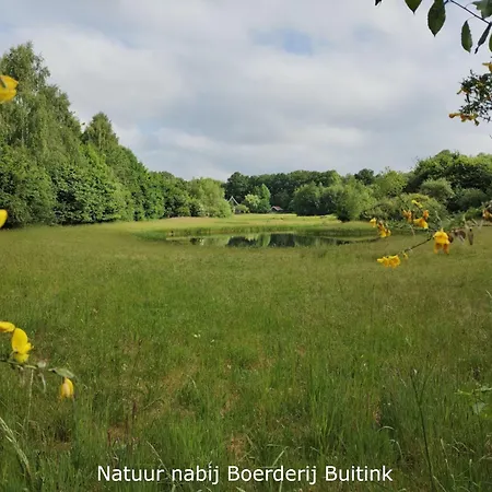 Boerderij Buitink * Kotten