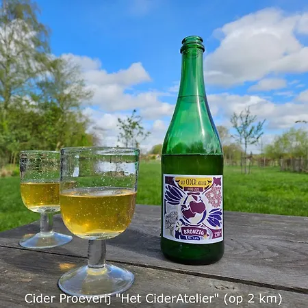 Διαμέρισμα Boerderij Buitink