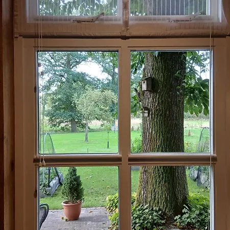 Boerderij Buitink
