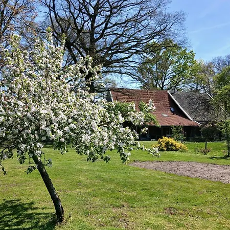 Appartement Boerderij Buitink