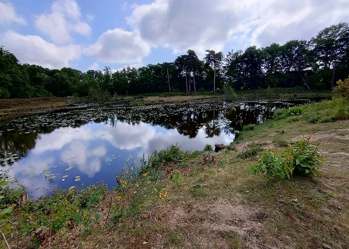 Boerderij Buitink Lägenhet