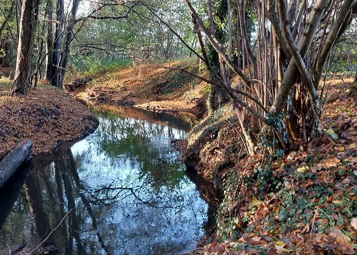 Lägenhet Boerderij Buitink *