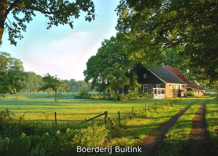 Boerderij Buitink * Kotten