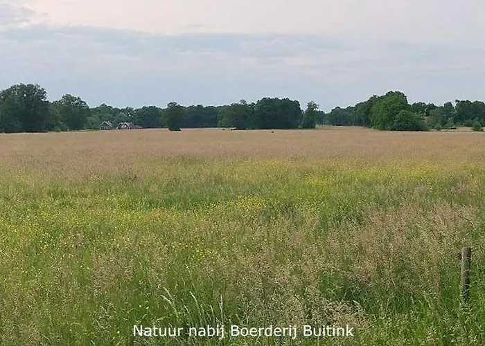 Lägenhet Boerderij Buitink Kotten
