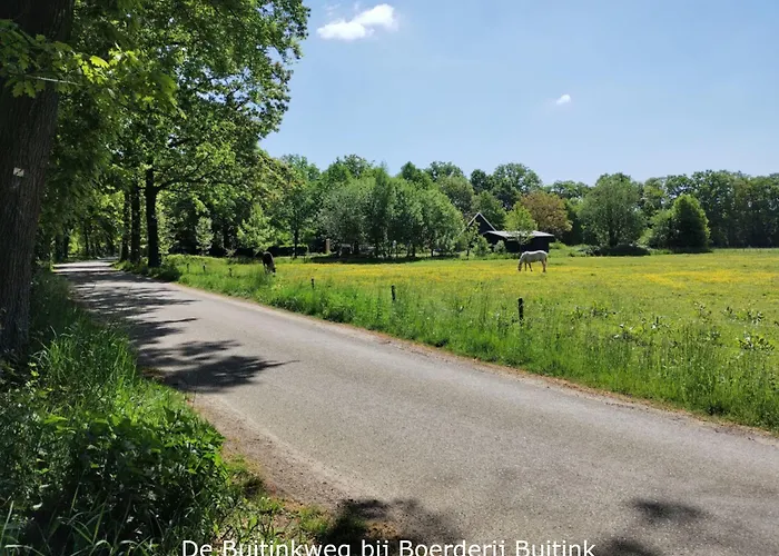 Boerderij Buitink * Kotten