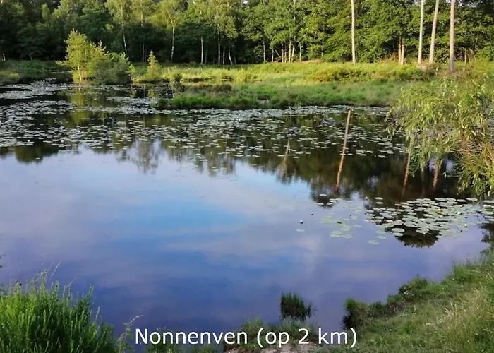 Boerderij Buitink * Kotten