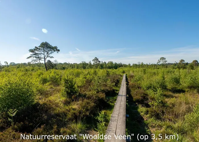 Lägenhet Boerderij Buitink Kotten