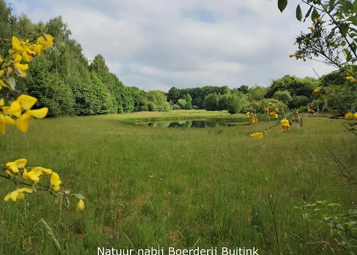 Boerderij Buitink * Kotten