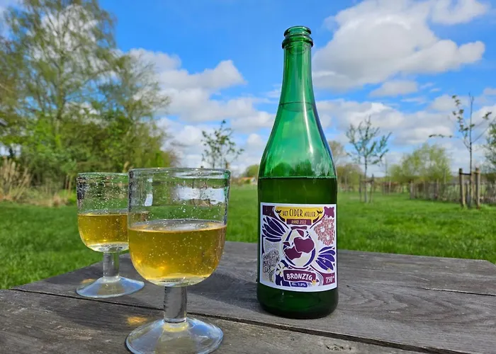 Lägenhet Boerderij Buitink