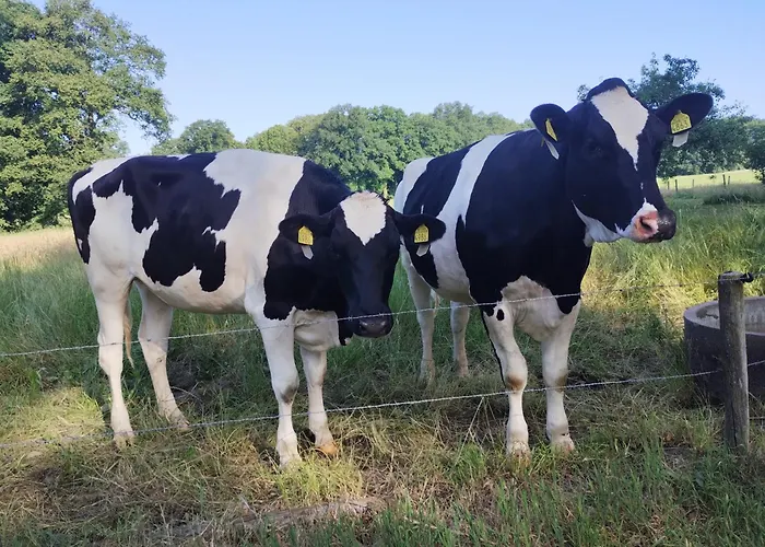 Boerderij Buitink Kotten