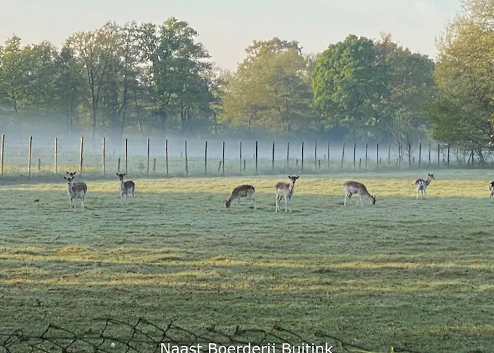 Appartement Boerderij Buitink Kotten