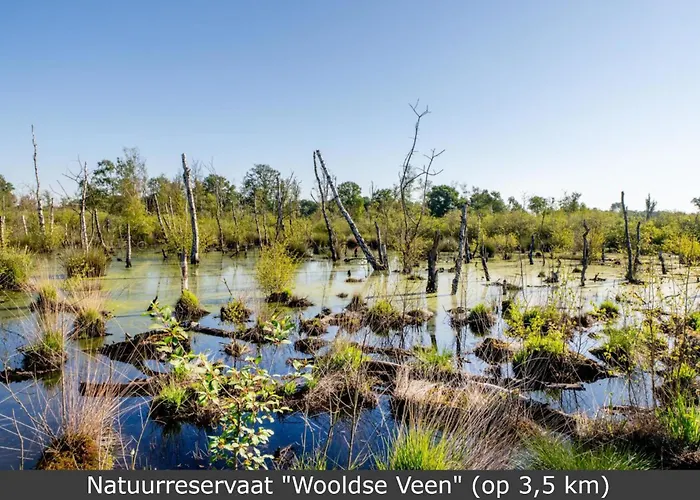 Boerderij Buitink * Kotten